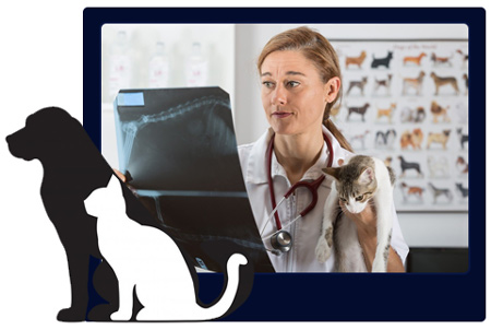 Servizio di Radiologia per animali